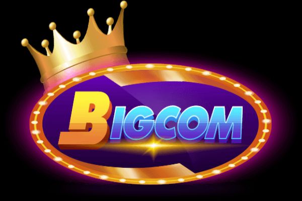 bigcom-1